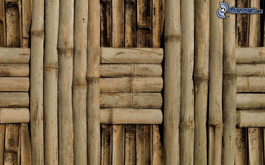 bambusowe drewno