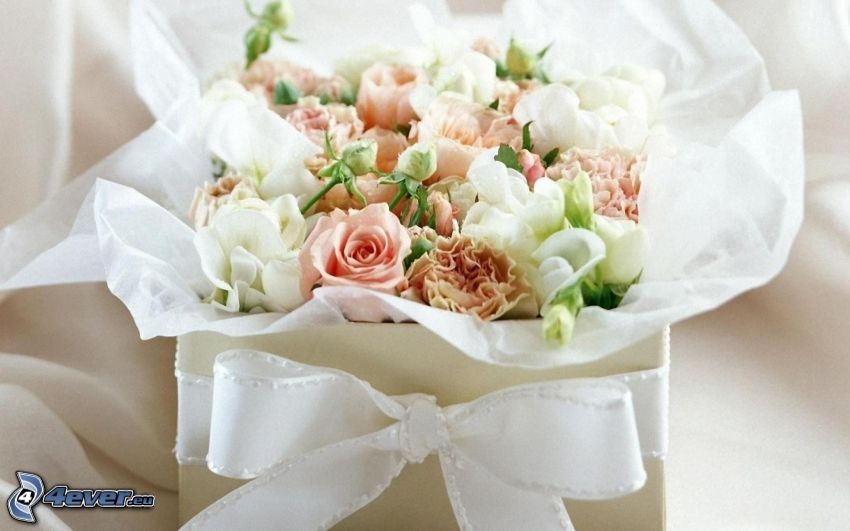 bukiet ślubny, kwiaty, biała róża, prezent