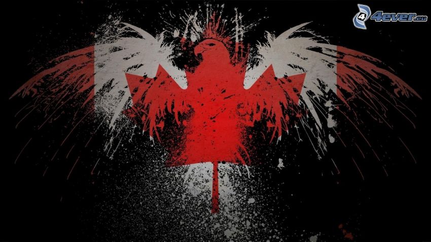 flaga kanadyjska, orzeł