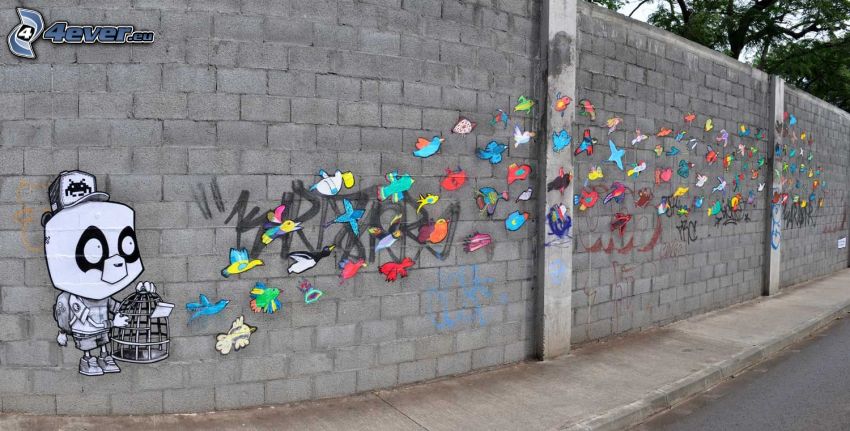 graffiti, stado ptaków, mur