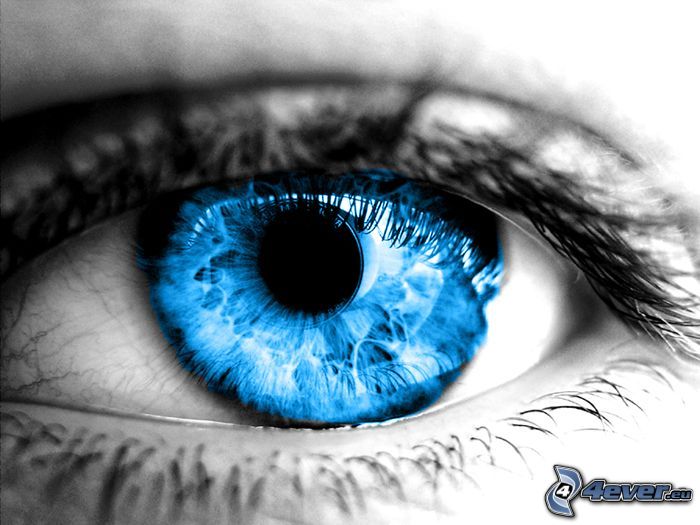 niebieskie oko, rzęsy
