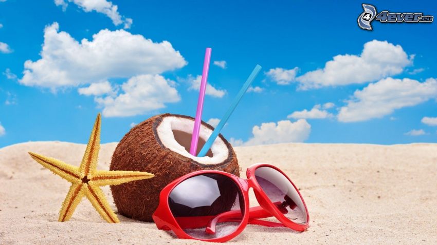 orzech kokosowy, rozgwiazda, okulary przeciwsłoneczne, plaża