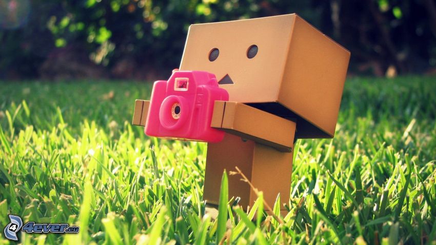 papierowy robot, aparat fotograficzny, trawnik
