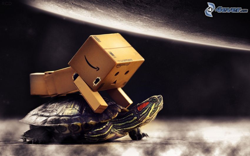 papierowy robot, żółw