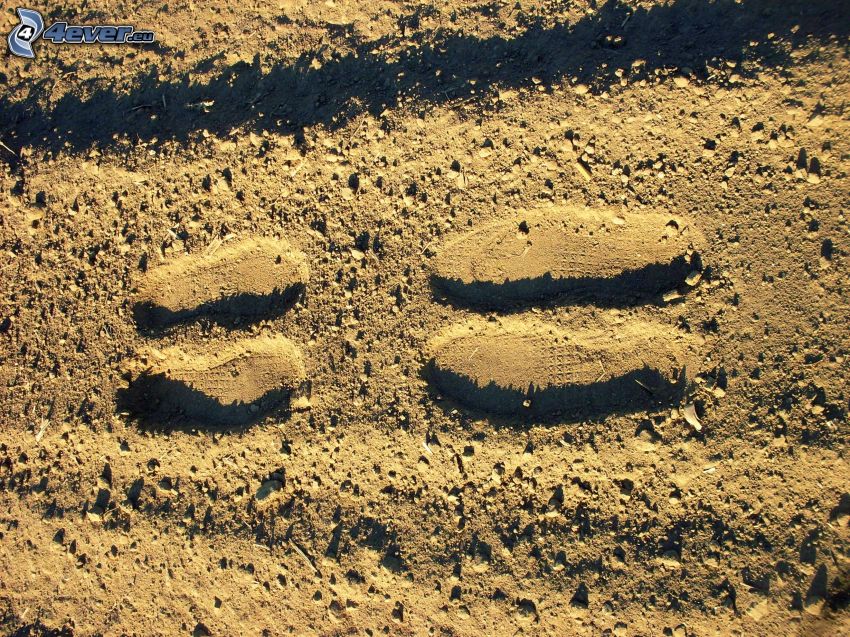 ślady stóp na piasku