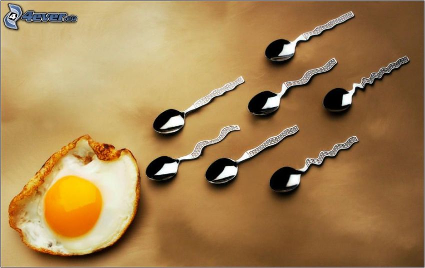 symboliczne zapłodnienie, jajko, łyżeczki, plemniki
