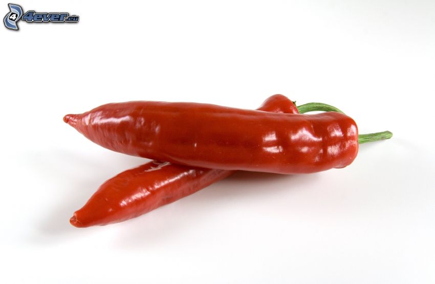 czerwona papryka chili