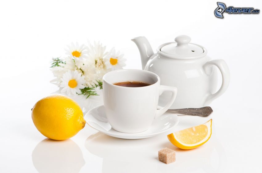 filiżanka herbaty, czajnik, cytryny