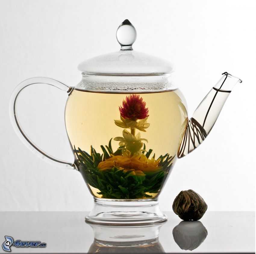 kwitnąca herbata, czajnik