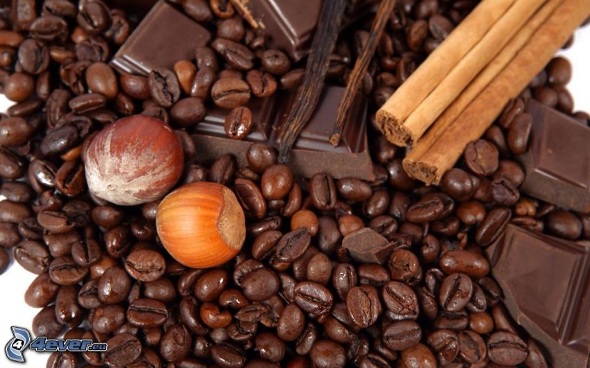 ziarna kawy, orzechy laskowe, czekolada, cynamon
