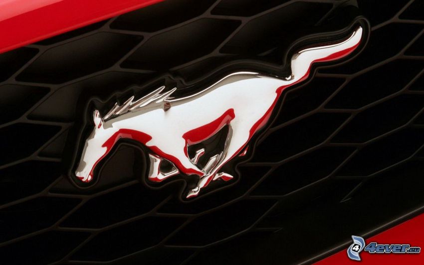 Ford Mustang, logo, przednia maska