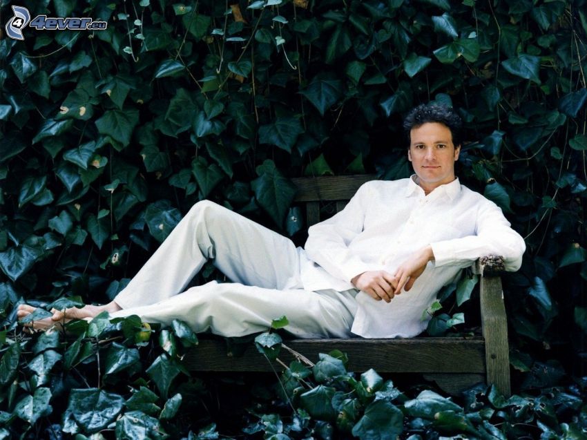 Colin Firth, zielone liście, mężczyzna na ławeczce