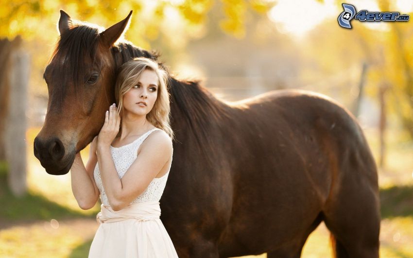 blondynka, brązowy koń