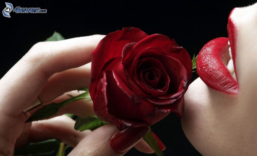 czerwona róża, czerwone usta, ręka