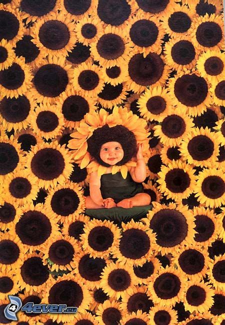 dziecko w kwiatach, słoneczniki