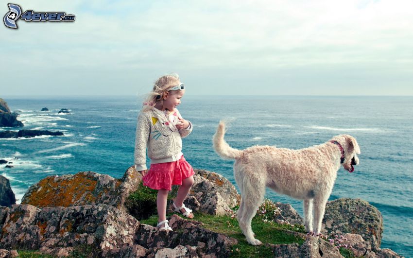 dziewczynka, pies, morze, skała