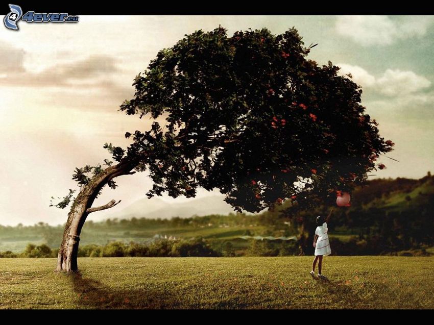 dziewczyna, drzewo, balon