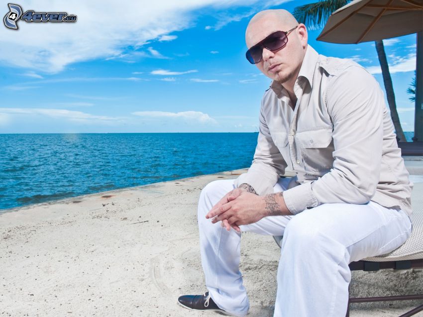 Pitbull, plaża