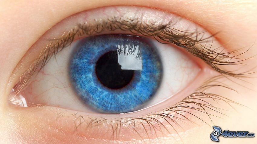 niebieskie oko