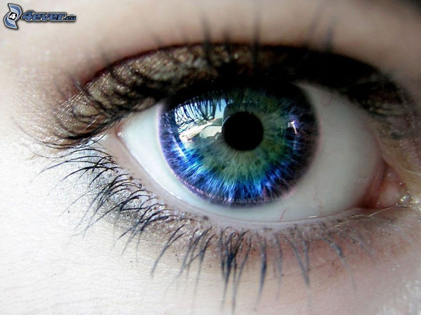 niebiesko-zielone oko