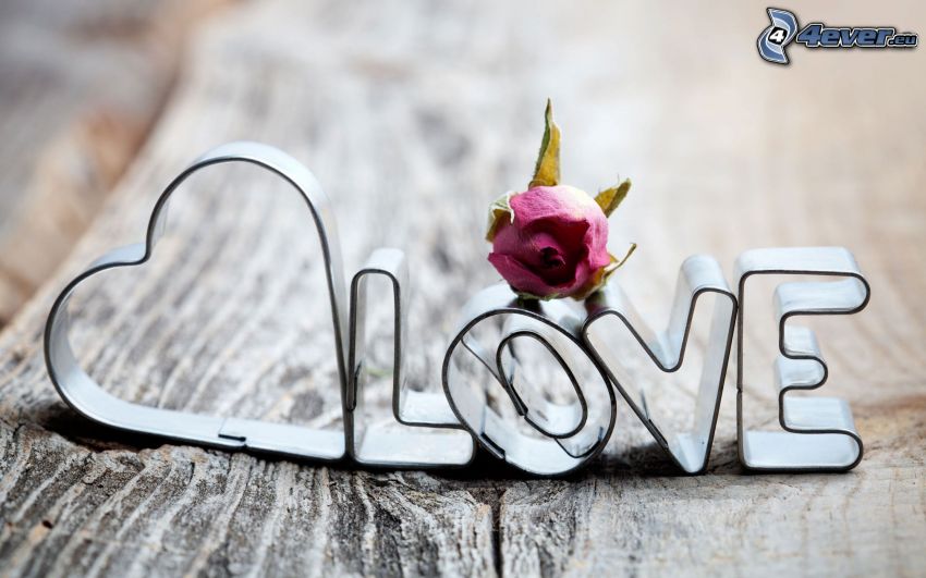 love, miłość, róża