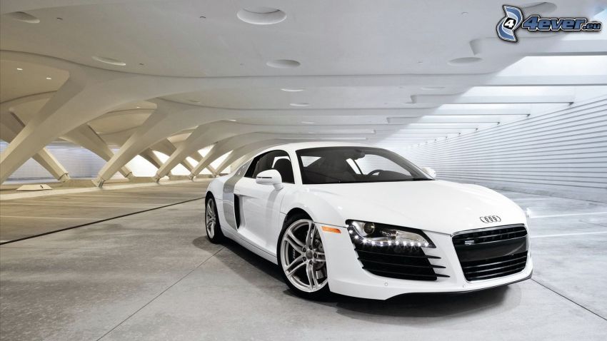 Audi R8