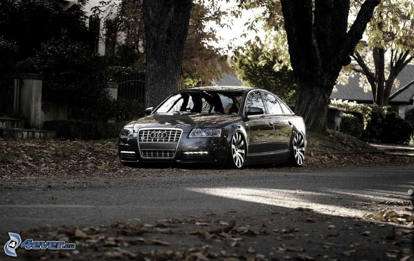 Audi S6, ulica, jesienne liście