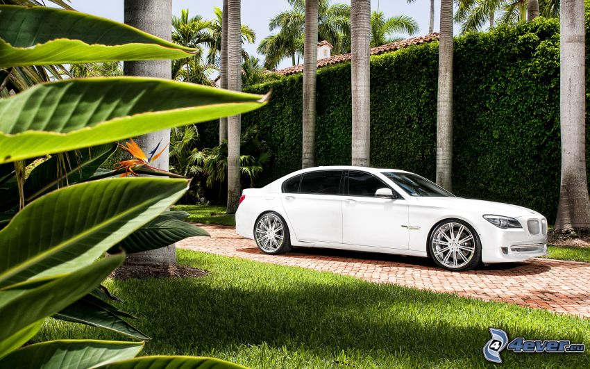 BMW 7, chodnik, żywopłot, trawnik, zielone liście