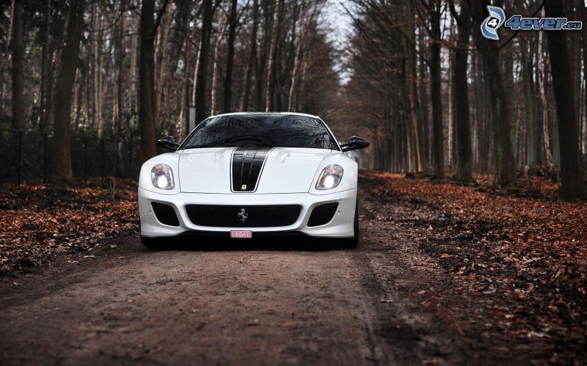 Ferrari 599 GTO, leśna droga