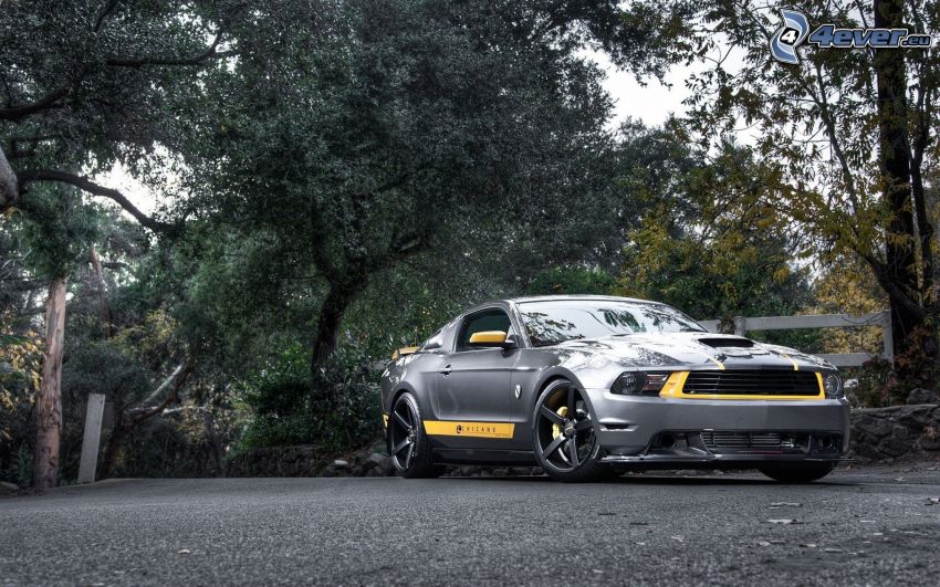 Ford Mustang, drzewa