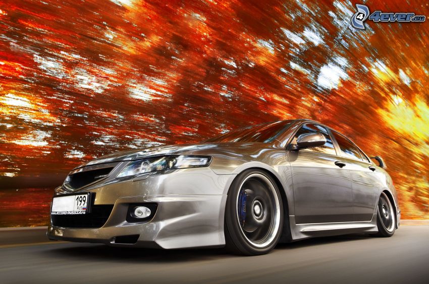 Honda Accord, prędkość, czerwony las jesienią