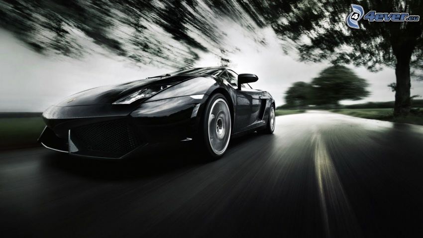 Lamborghini Gallardo, prędkość, czarno-białe zdjęcie