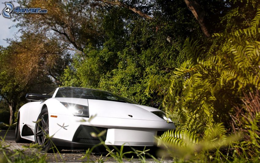 Lamborghini Murciélago, zieleń