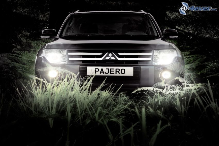 Mitsubishi Pajero, przednia maska, światła, trawa, czarno-białe zdjęcie