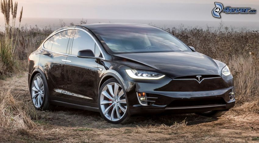 Tesla Model X, pole, sucha trawa