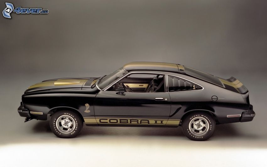Ford Mustang Cobra, weteran