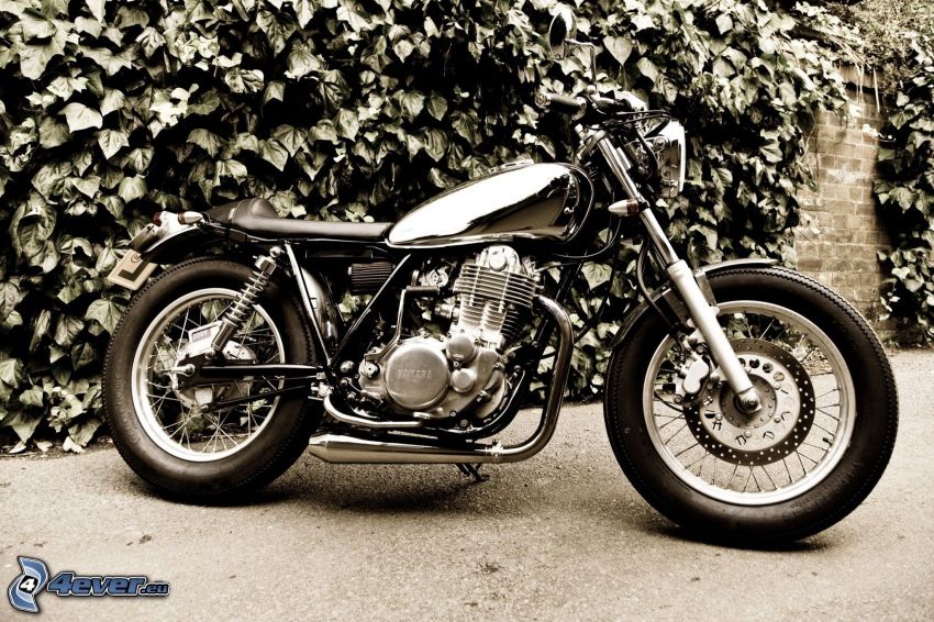 Harley-Davidson, czarno-białe