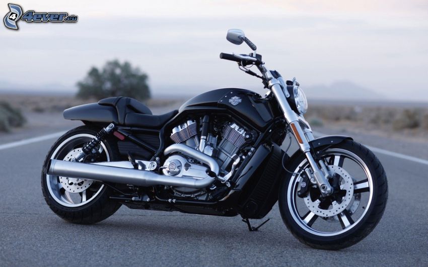 Harley-Davidson, motocykl, ulica