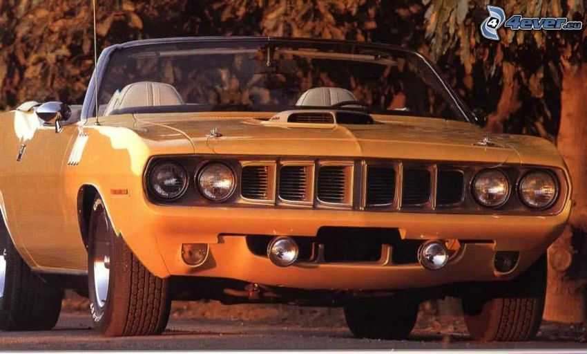 Plymouth Barracuda, Muscle Car, kabriolet