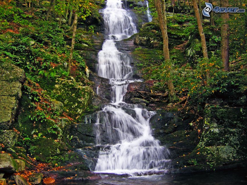 Buttermilk Falls, wodospad w lesie, kaskady, drzewa