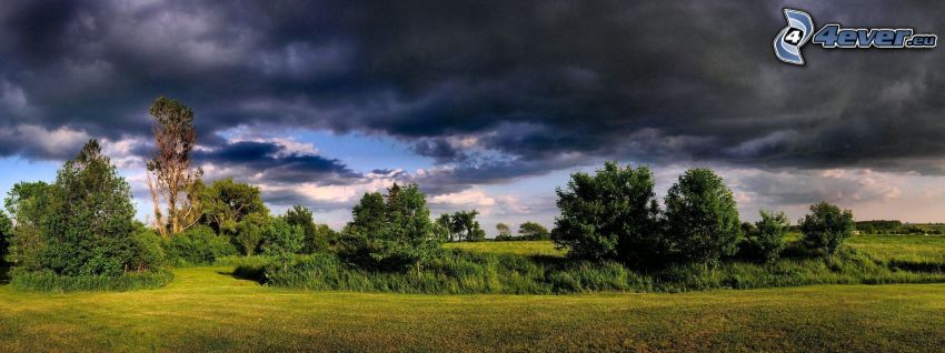 drzewa, łąka, ciemne chmury, panorama