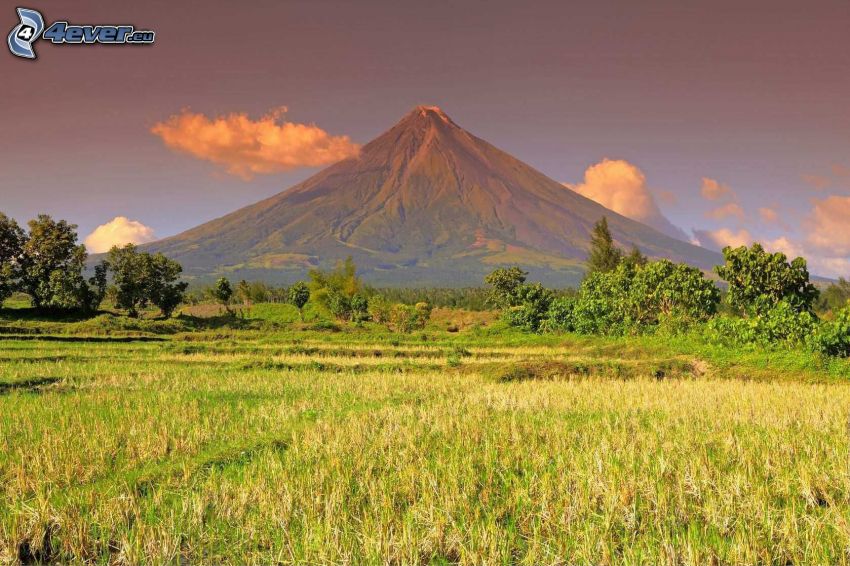 Mount Mayon, Filipiny, łąka