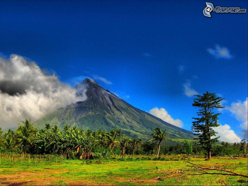 Mount Mayon, Filipiny, wulkan, łąka, palmy