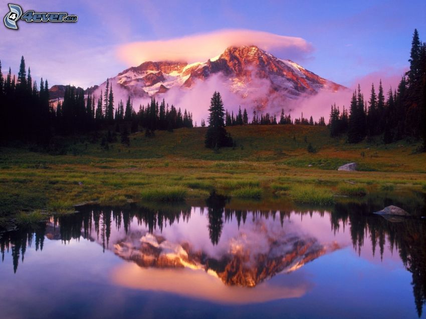 Mount Rainier, Washington, USA, zaśniżona góra nad jeziorem, zaśnieżone góry w chmurach, las, łąka, górskie jezioro, odbicie