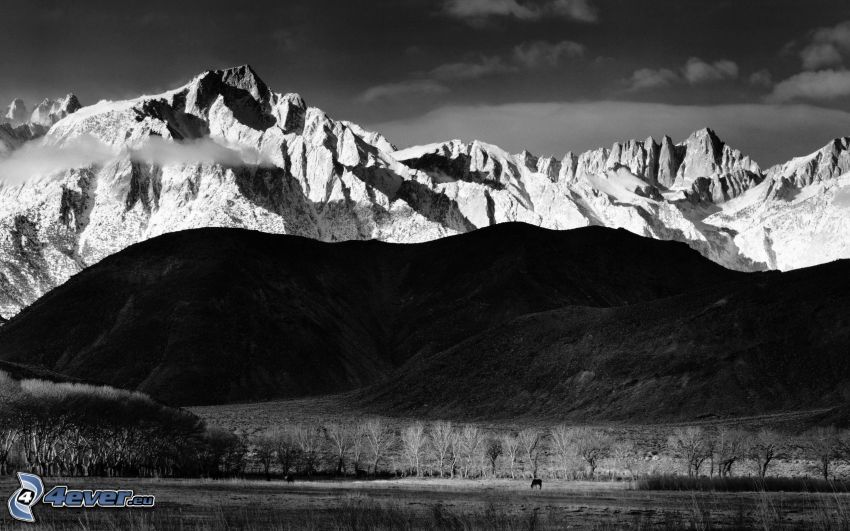 zaśnieżone pasmo górskie, wzgórza, czarno-białe zdjęcie