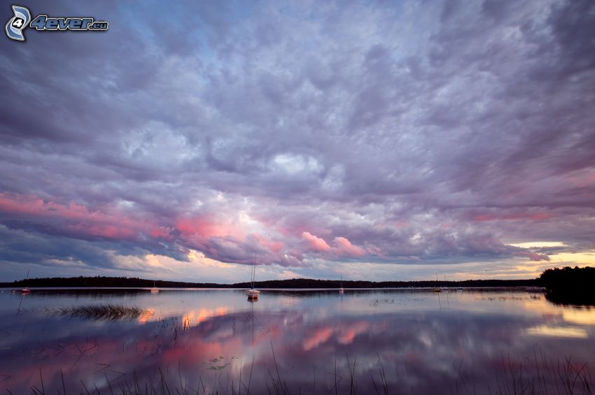 jezioro, fioletowe niebo, chmura