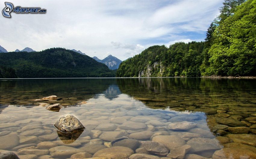jezioro, kamienie, drzewa, wzgórze, spokojna woda