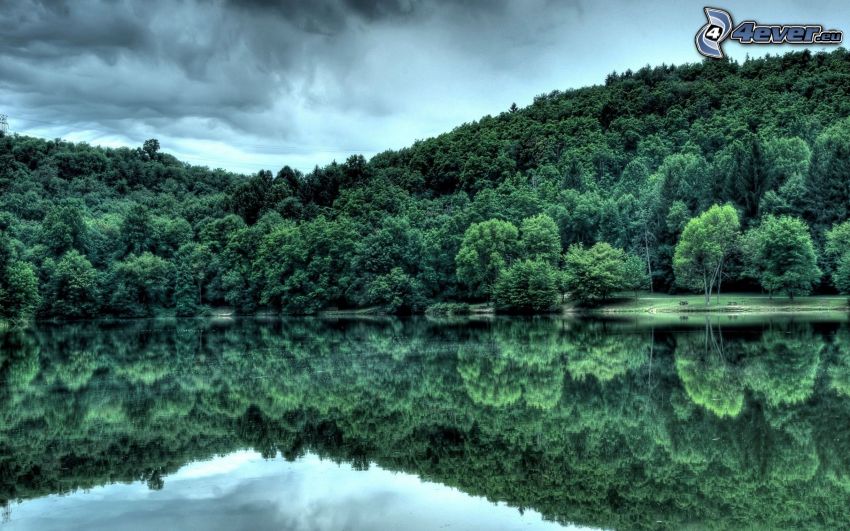 jezioro w lesie, drzewa, odbicie, HDR