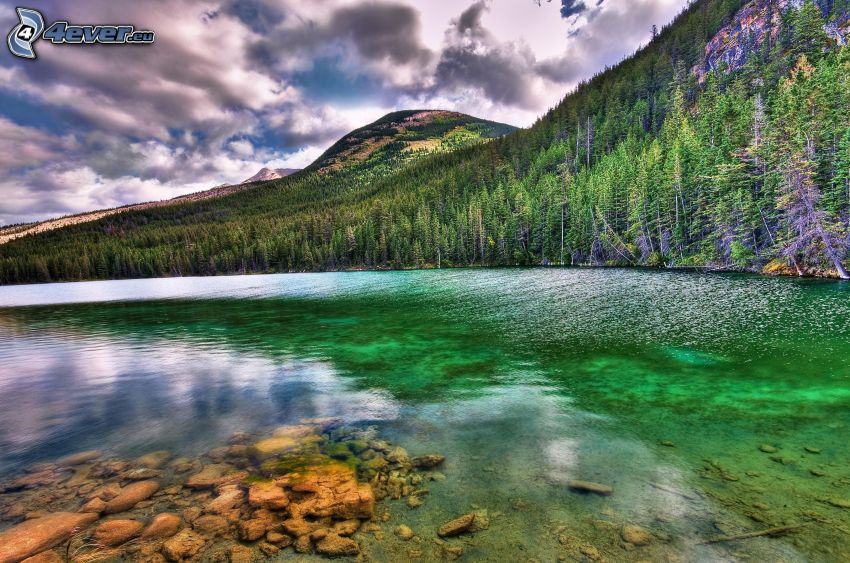 jezioro w lesie, wzgórza, chmury, HDR