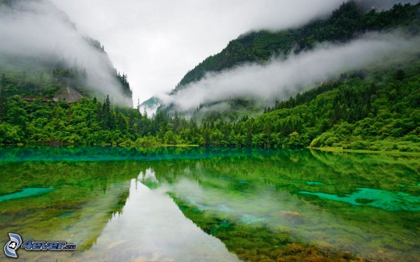 jezioro w lesie, wzgórza, odbicie, chmury, zieleń